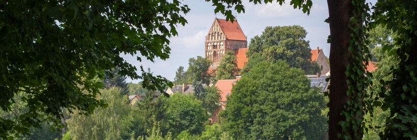 Foto: Blick aus Baumlandschaft auf Kirchturmspitze