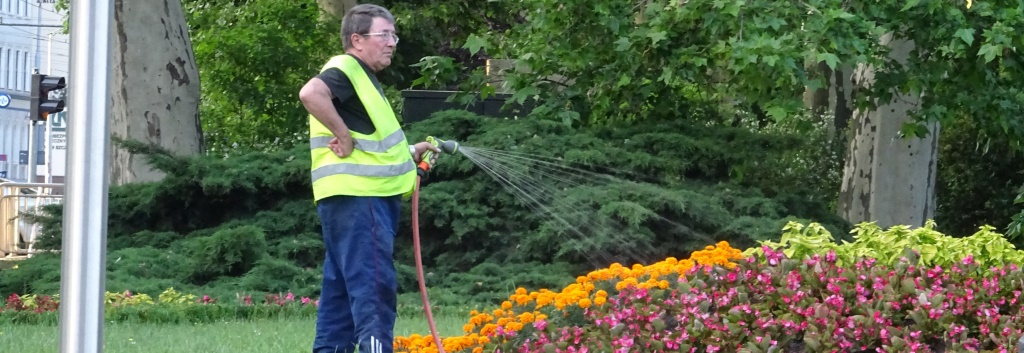 Foto aus Stettin: Gärtner bewässert städtisches Grün